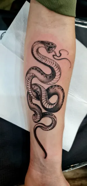 Czarno-szary tatuaż węża poprowadzony wzdłuż przedramienia. Wyrazisty projekt z dużą ilością detali i mocnym kontrastem, wykonany w studio One More Tattoo.